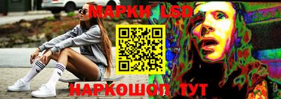 прущие крисы Партизанск