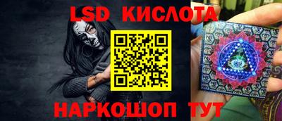 прущие крисы Партизанск