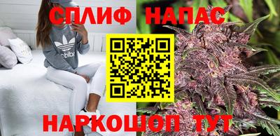 крисы Пенза