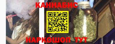 крисы Пенза