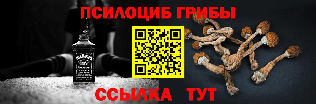 Псилоцибиновые грибы Psilocybe Ставрополь